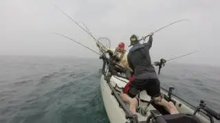 Trolling for Salmon From the Hobie PA17T with Torpedo Divers. Lead core, and Offshore Planer boards