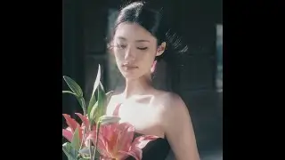 ฟรีบีท [ FREE FOR PROFIT ] 