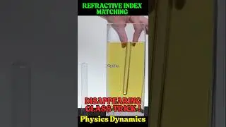 This Glass Disappears in Liquid! 😲 | Refractive Index Trick #shorts