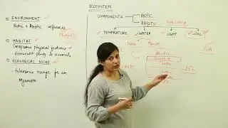 Free Video l Abiotic components l CBSE l CLASS 12 BIOLOGY l UNIT 10 l ECOSYSTEM l L 2