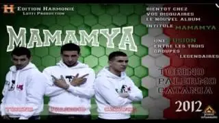 Verde Leone ( hnaya khwa khwa ) Groupe TOrino PalermO Catania 2012.(Žıž&otilde;u)