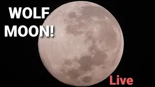 🔴Live: 100% Moon (Wolf Moon) &ndash; Full Moon Phase Through Newtonian Reflector Telescope