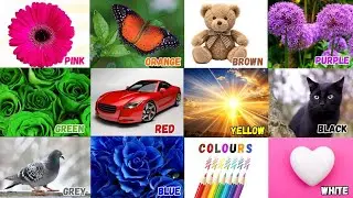 We Love All the Colors |Preschool Color Vocabulary | Nursery Rhymes & Kids Song | English Vocabulary
