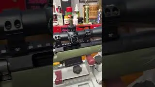 Zailea&rsquo;s 2025 Kauai Blacktail Deer Hunting High Power Rifle // Ruger American Predator 6.5 Creedmoor