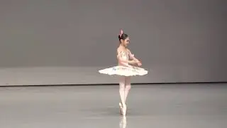 Fairy Doll 인형요정