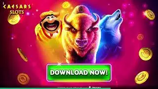 Caesars Slots Casino & Slots Buffalo Mobile Gaming Short