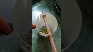 diy watering can 💚 || #garden #terrace #trending #shorts #fyp #plants