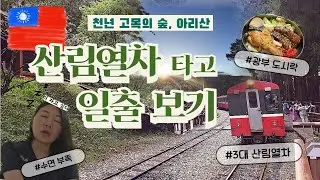 세계 3대 산림열차 타고 일출 보기│아리산 1박2일 - Taiwan(2) 阿里山