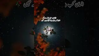 Apni Umeed 🖤 Urdu Poetry || Whatsapp Status #poetry #status #shorts