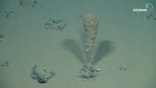 MiningImpact: RV SONNE Expedition SO242: