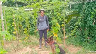 Bean zamna tur kan phun tan. baby cornn rah tan. changkha pawh ka eikhawp lawh tur awm ve zel q