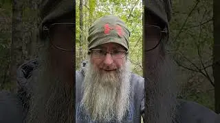 The #1 Secret to Successfully Attracting Whitetail Deer with Mock Scrapes. #shorts