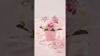 [R] pastel pink roses (Live)