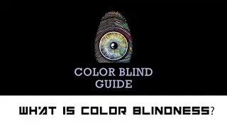What is Color Blindness | The Creative Course for Colorblind Designers | FREE Online Course