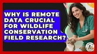 Why Is Remote Data Crucial For Wildlife Conservation Field Research? - Animal Care Jobs