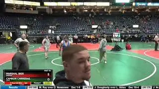 Marshal Bier Bmdwa vs Camron Carreras Lot1 2019 OAC Junior High State 249lbs 5th