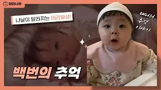 【Vlog】 ep.25 백번의 추억