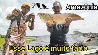 Pescaria selvagem em um lago isolado no coração da Amazônia lago do batata 