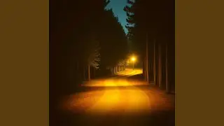 Where the Porch Light Still Burns