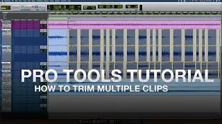 Pro Tools Tutorial - How to Trim Multiple Clips
