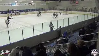 Toledo Swarm Vs Summiot City