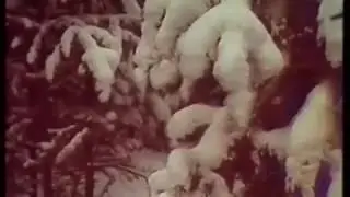 Наталья Трапезникова, Белый снег. Республика Саха (якутия )