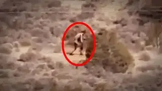 5 Humanoids Caught On Camera & Spotted In Real Life! #2