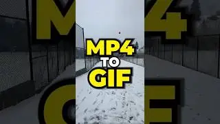 MP4 в GIF | Фликсиер 📽️✨