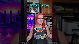 The Real Story S10 Ep49   #love #therealstory #couplegoals #tomthedom #longdistancerelationship