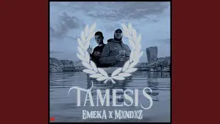 TAMESIS