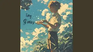 Tiny Stones