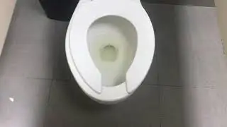 229. 2008 AS Colony on Flushometer at Pabellon Rosarito (Food Court Restroom)