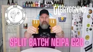 #65 Split batch Neipa G2G  (London Fog vlp066 vs Angel yeast CN36)
