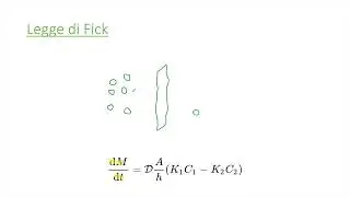 FISIOLOGIA - Diffusione passiva - la Legge di Fick