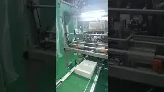 Meet our Fruit Box Forming Machine Apple Box Making Machine