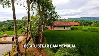 Pagi yang Cerah, Alam Hijau, Kampung Asri di Pedalaman | 4K