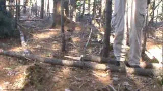 Woodsman500 and Wackybrad shelter making Part 5