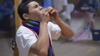 Cover: Aunque yo caiga de Nicolás Losada