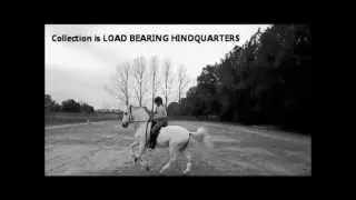 FACTS AND DEFINITIONS BASIC MILITARY RIDING