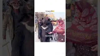 beginners vs Legend 😎🤫[#video edit][#Rajab family]