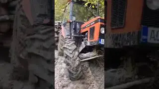 Zetor 6245 u blatu do po guma! Tractor in MUD! #zetor #extreme #forrestry