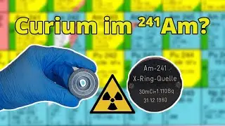 Curium im Americium-241 - Praktikum Nuklearchemie
