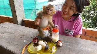 Wow Dodo Make Fun While Getting Food,  You Are So Cute My Beloved