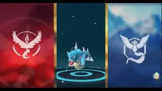 Pokemon GO Magikarp EVOLVE! Gyarados