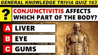 Time For Another Round Of The Ultimate Trivia Quiz! (Round 163)