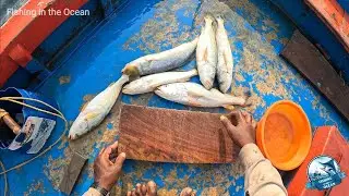 Spicy Fish Curry in the Mid-Sea: A Fisherman's Life on the Boat