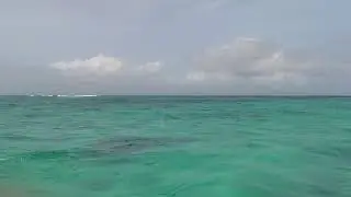 [Metita Beach & Dive Resortの旅]Pasir Timbul