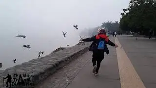 Chakluss Travel Diaries | Sam Dhiman | Vijay Kumar Mahar