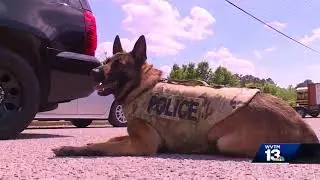 Trussville Police Department K9 gets body armor vest
