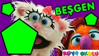 Şekiller Şarkısı - Beşgen - Bir &Ccedil;ok Şekil Var - Kuklalarla eğitim - R&Uuml;YA OKULU